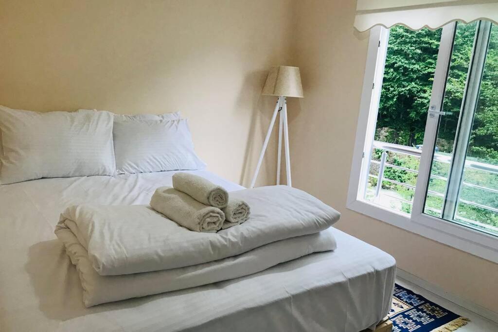 River Side Placed Suit House Secer Apart Çamlıhemşin 外观 照片